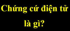 Chứng cứ điện tử